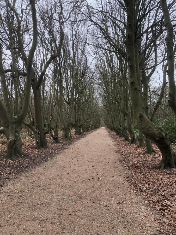 Dorpsdijk 49, Vrouwenpolder Vakantie Zewnętrze zdjęcie