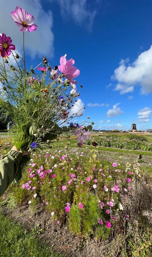 Dorpsdijk 49, Vrouwenpolder Vakantie Zewnętrze zdjęcie